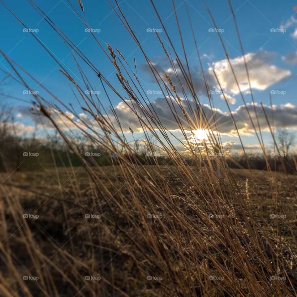 country side sunset