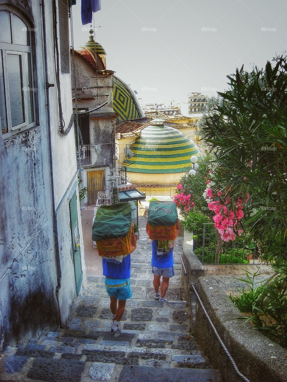 Rear view of two men's carrying lemons