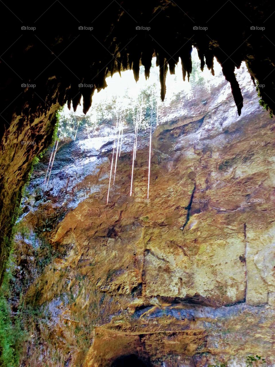Cuevas Camuy Treasure of Puerto Rico Island