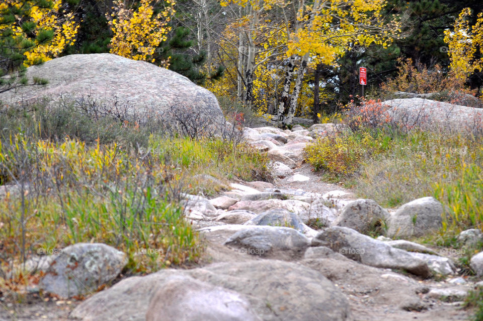 RMNP