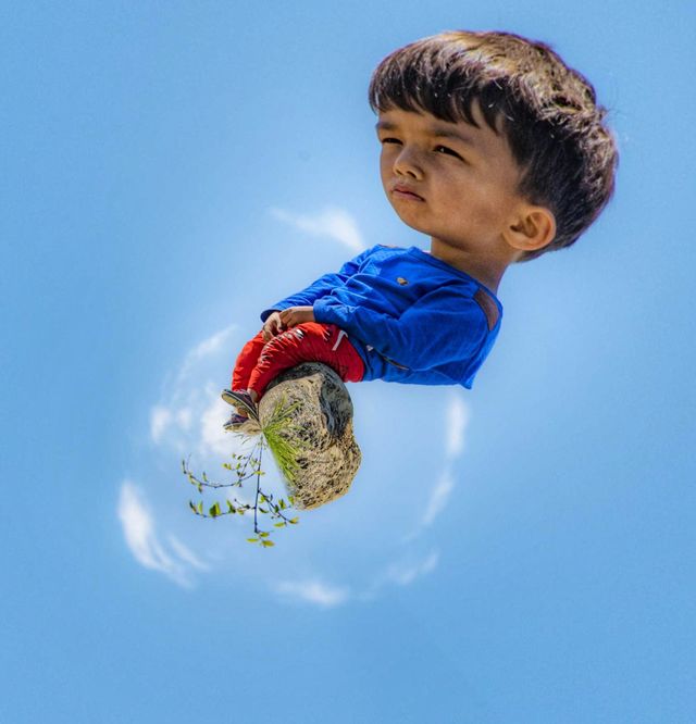 circular baby