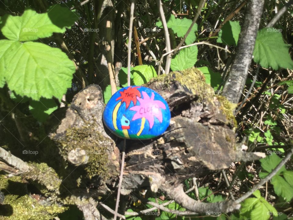 Painted Rock placed in the Park 