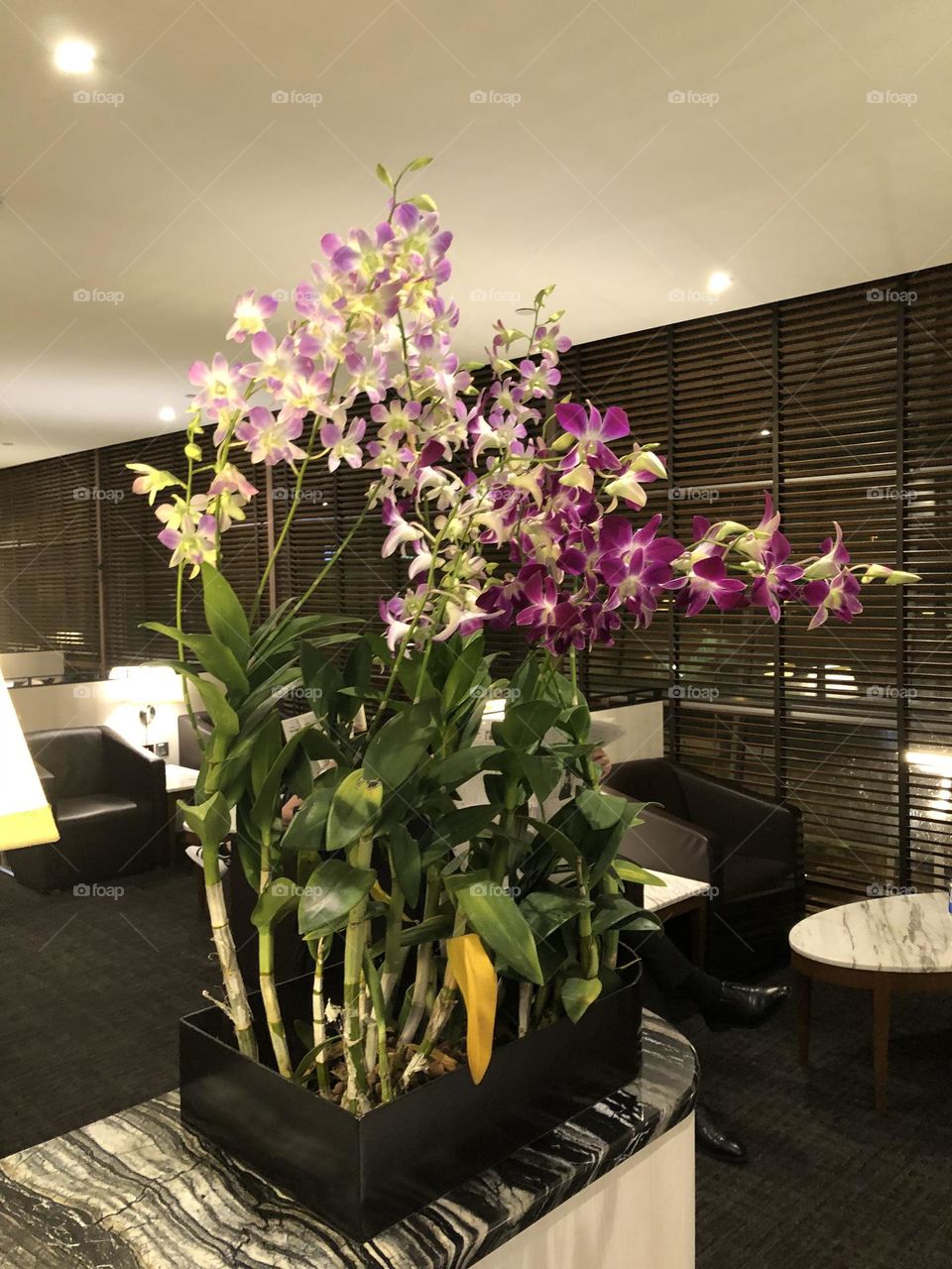 Orchid Tower