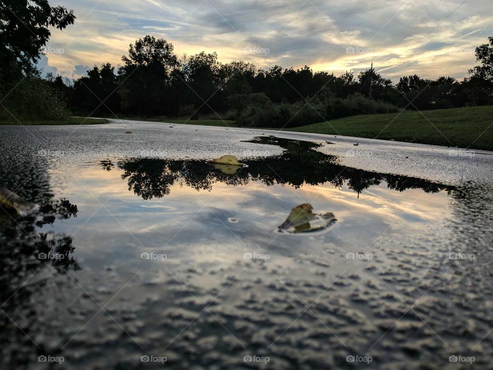 Autumn rain reflections