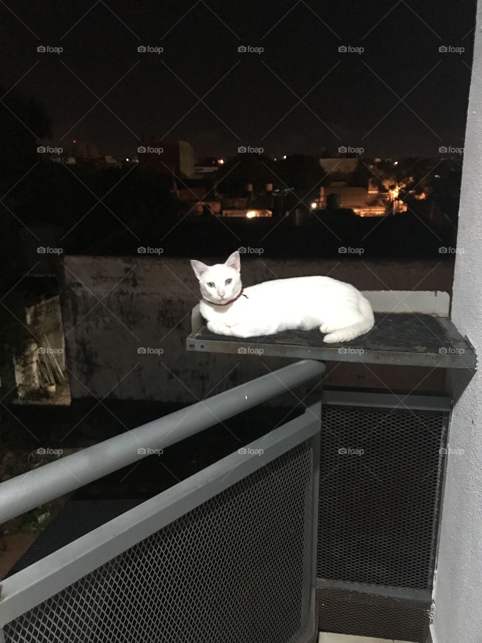 I’m sexy and I know it 