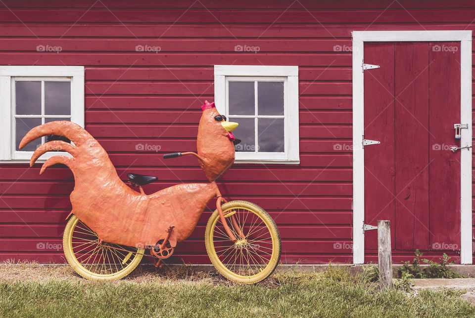chicken bike