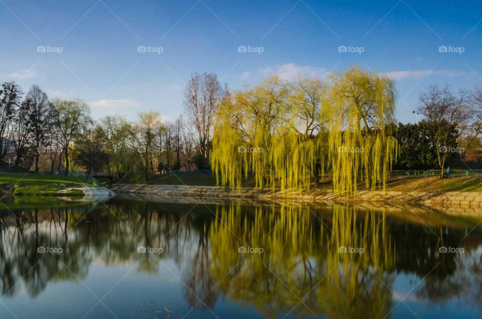 city park with lake in the spring season