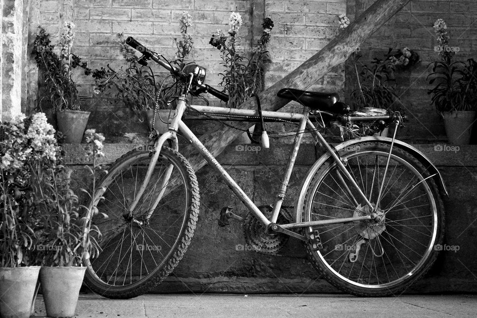Old bike 