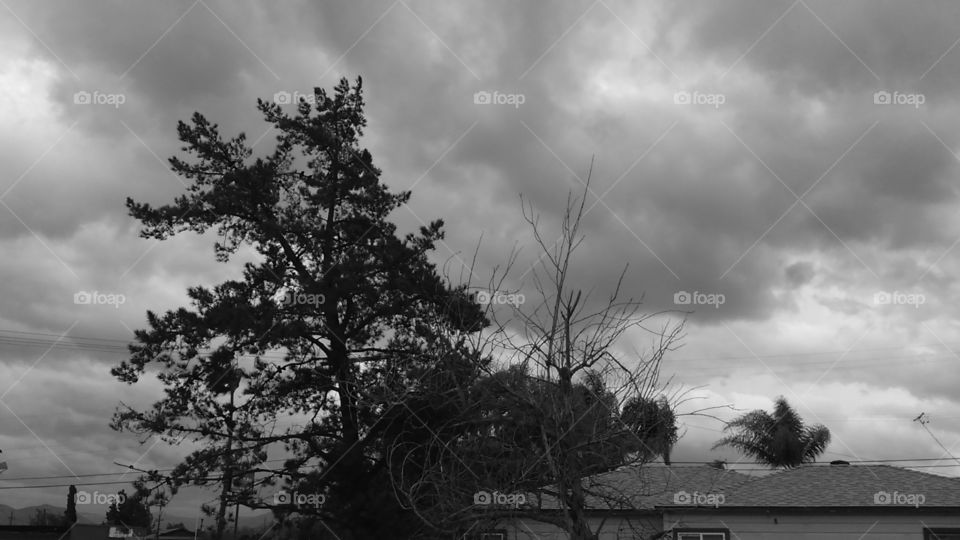 Stormy skies overtaking my neighborhood