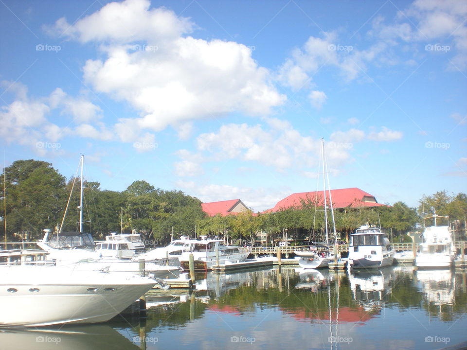 Hilton Head Island Marina. boat slips