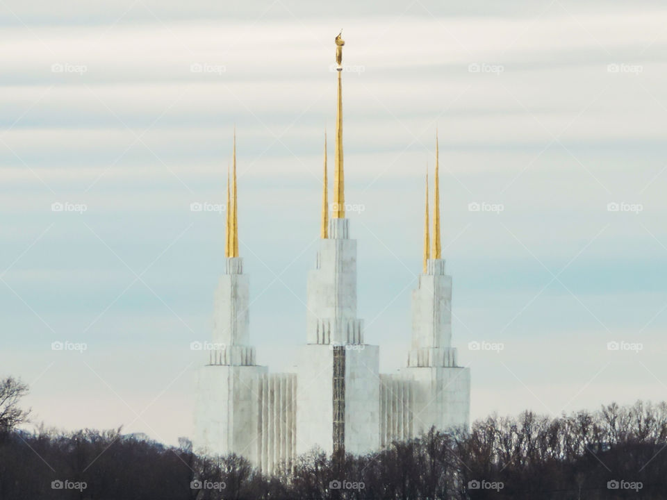 Golden Spires