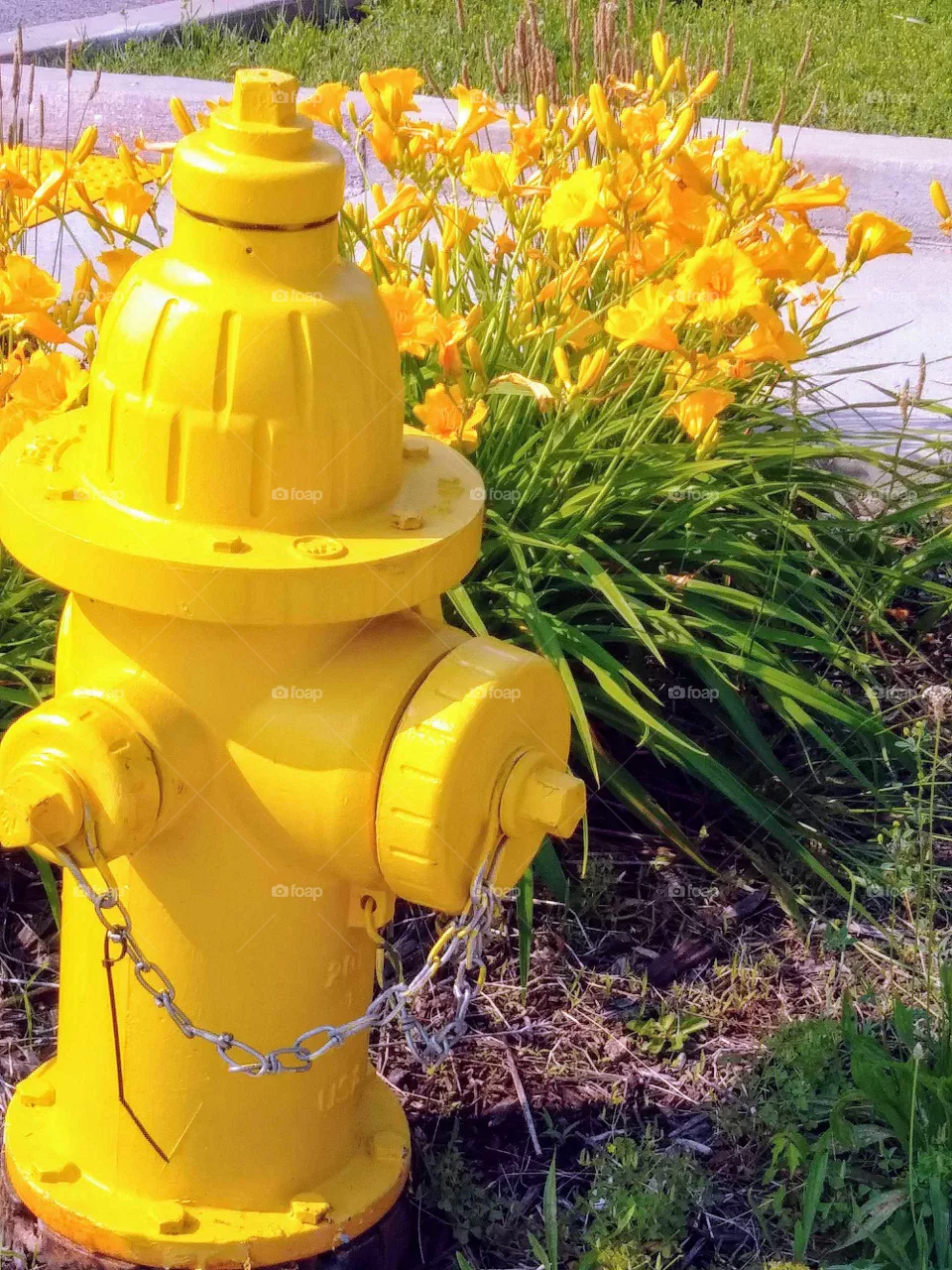 yellow