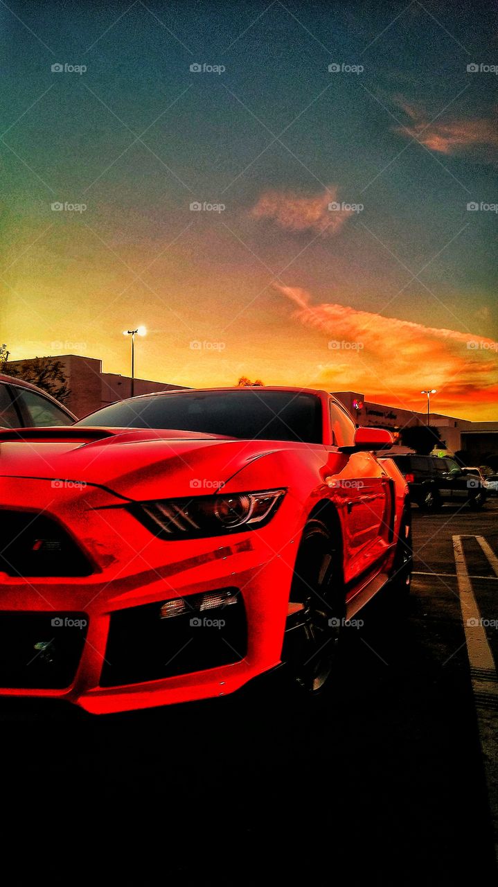 Roush Mustang
