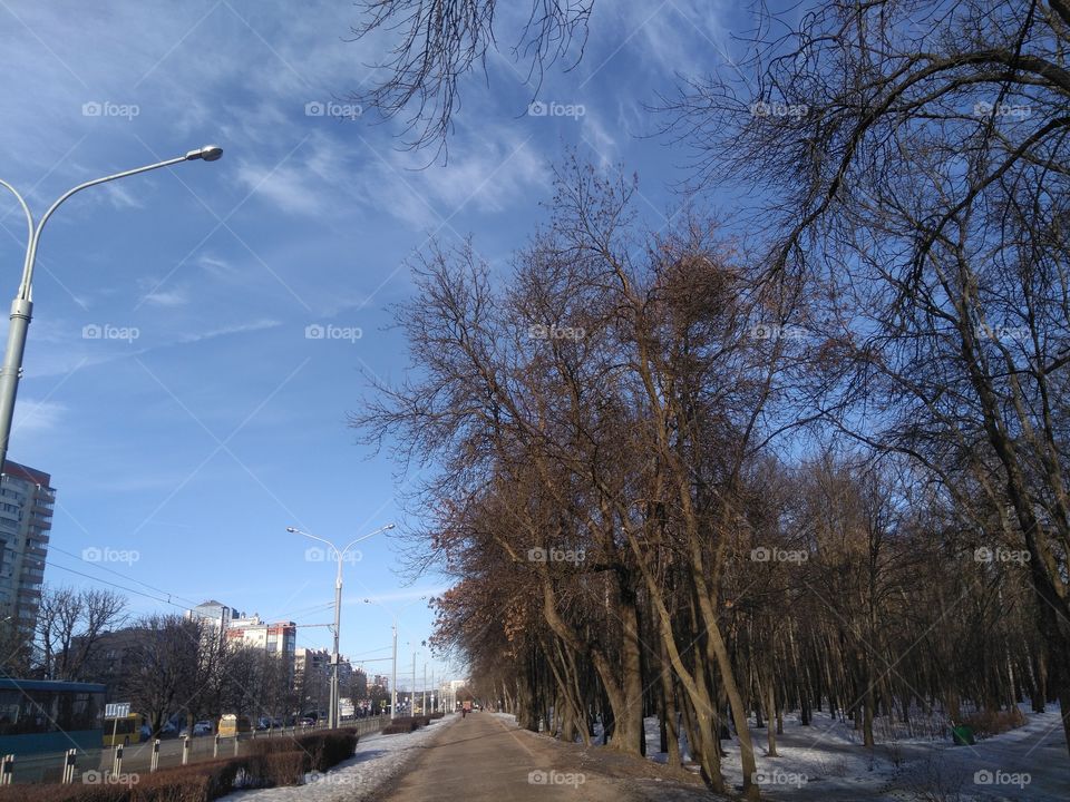 winter view cityscape blue sky background