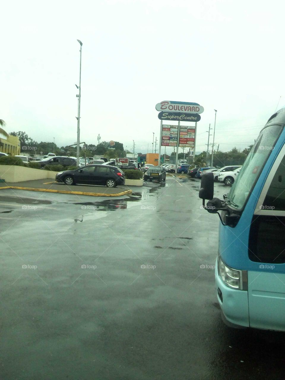 the is one of the best picture you have ever see it is real and true beauty you can see the water on the ground.