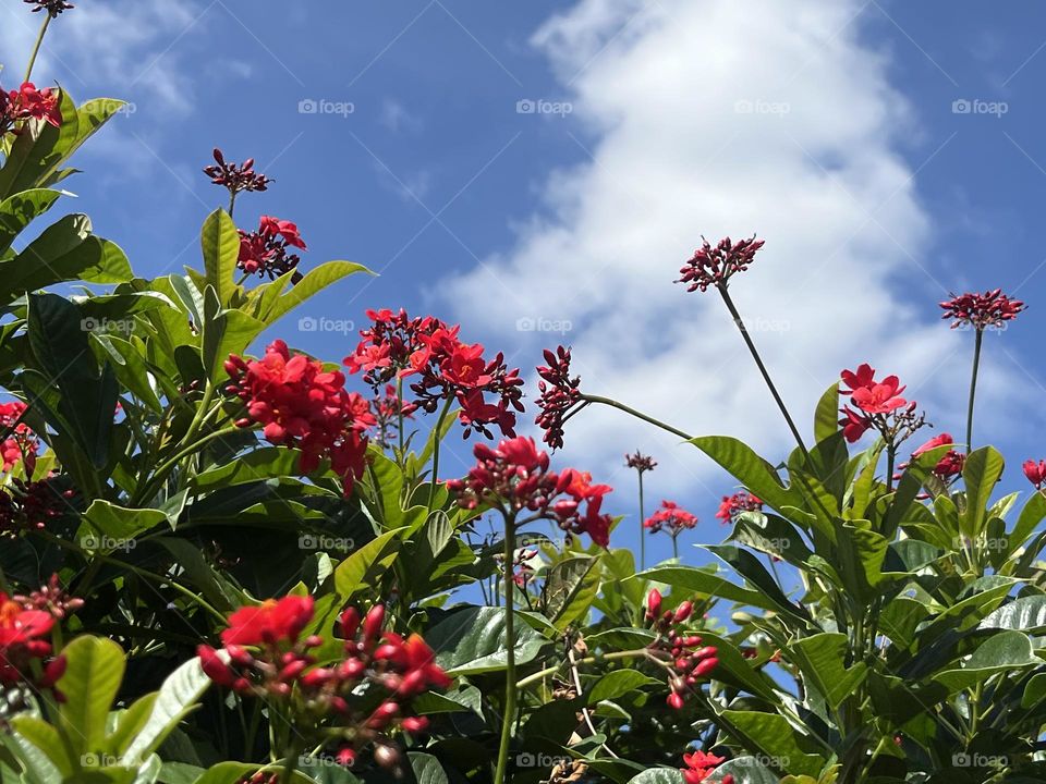 The place to relax is called View Share Farm, Nakhon Ratchasima Province.