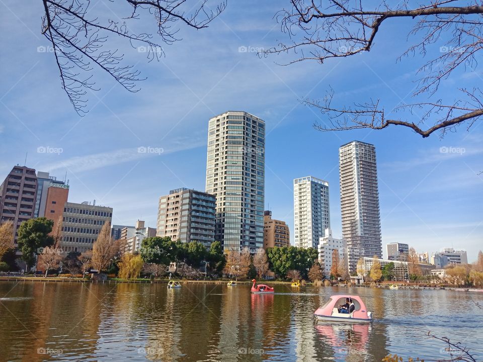 pleasure boats in Sinobazu pond, Ueno park, Tokyo, Japan