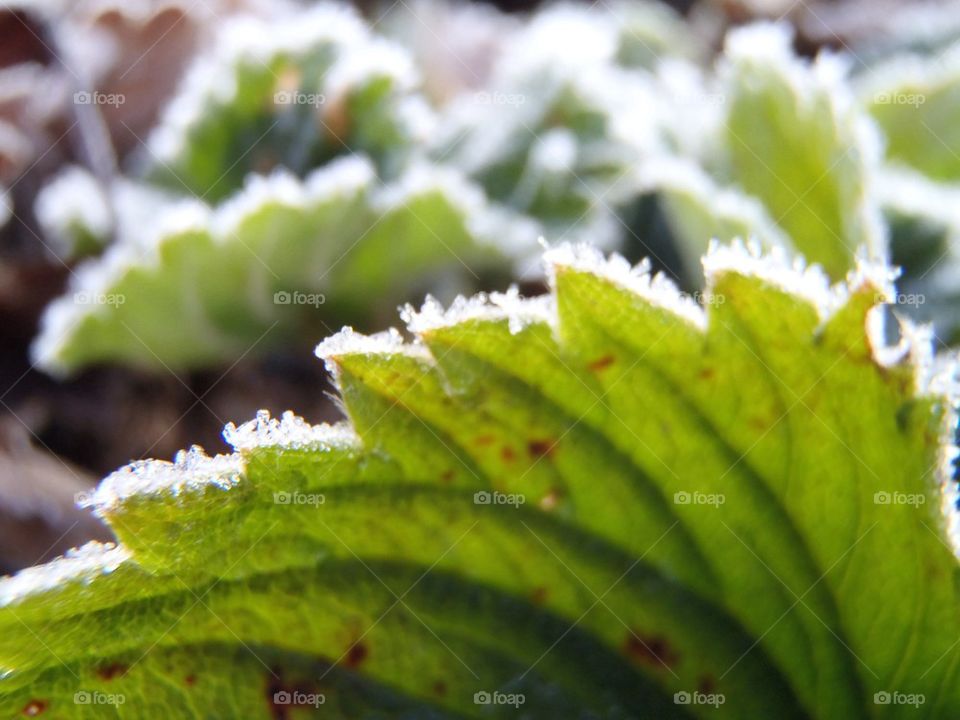 Sharp just got sharpened 