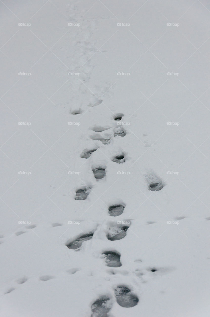 Footsteps in the snow