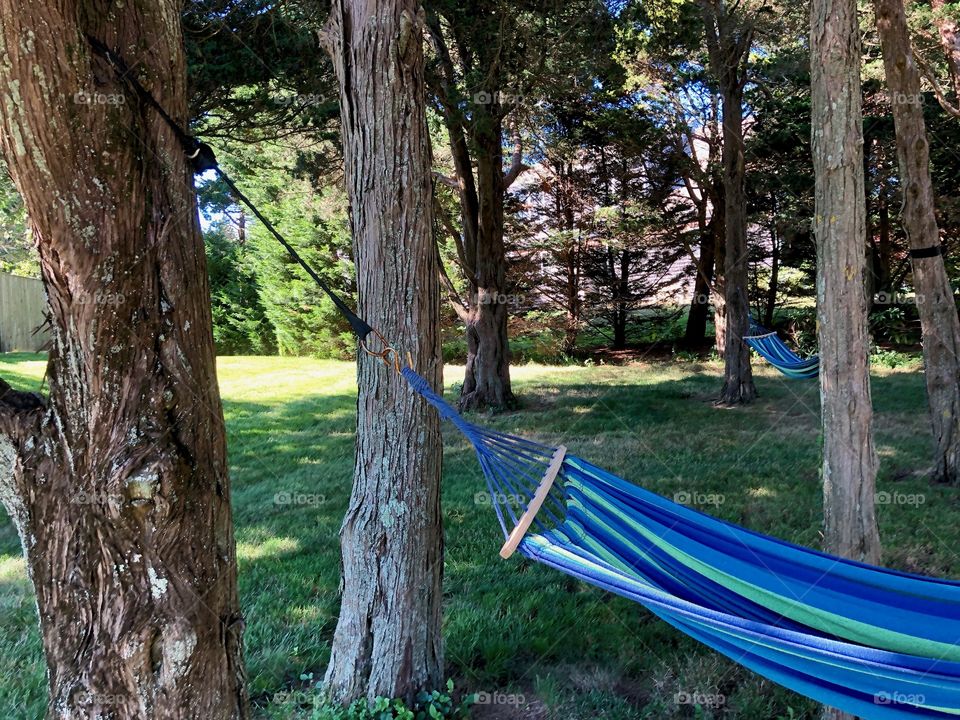 Hammock in summer