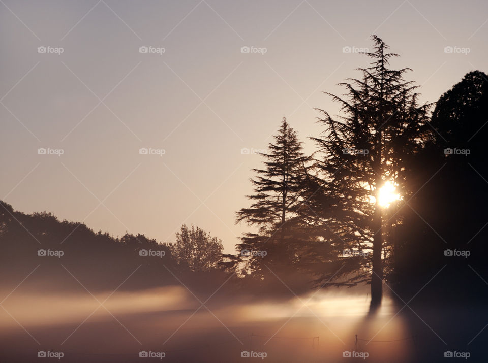 A landscape photograph taken of a winter sunrise. A misty morning with the sun shining through the trees. 