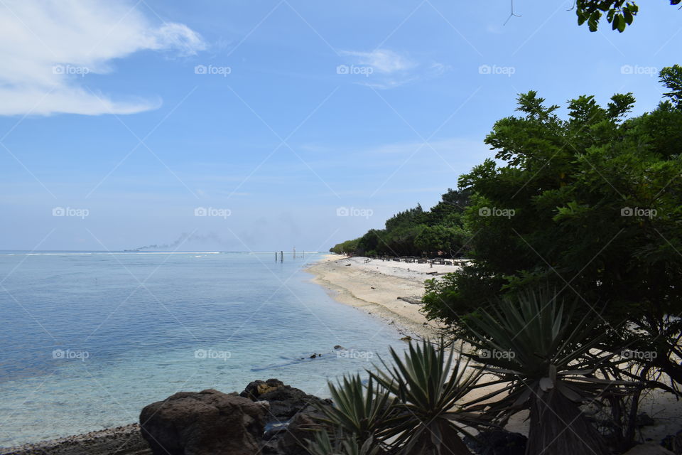 natural landscape at the beach