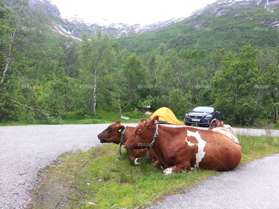 Summer vacation in lovely Norway. Norway is a mixture of all different kind of landscape all  at once.