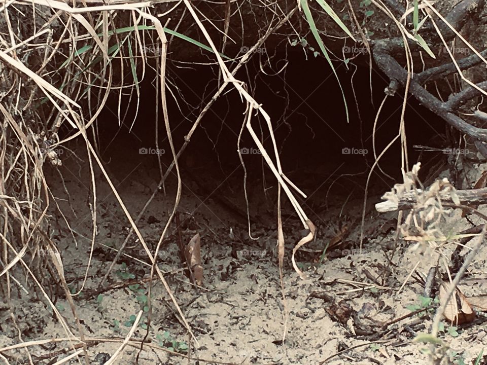 Abandoned Sunland Mental Institution urbex