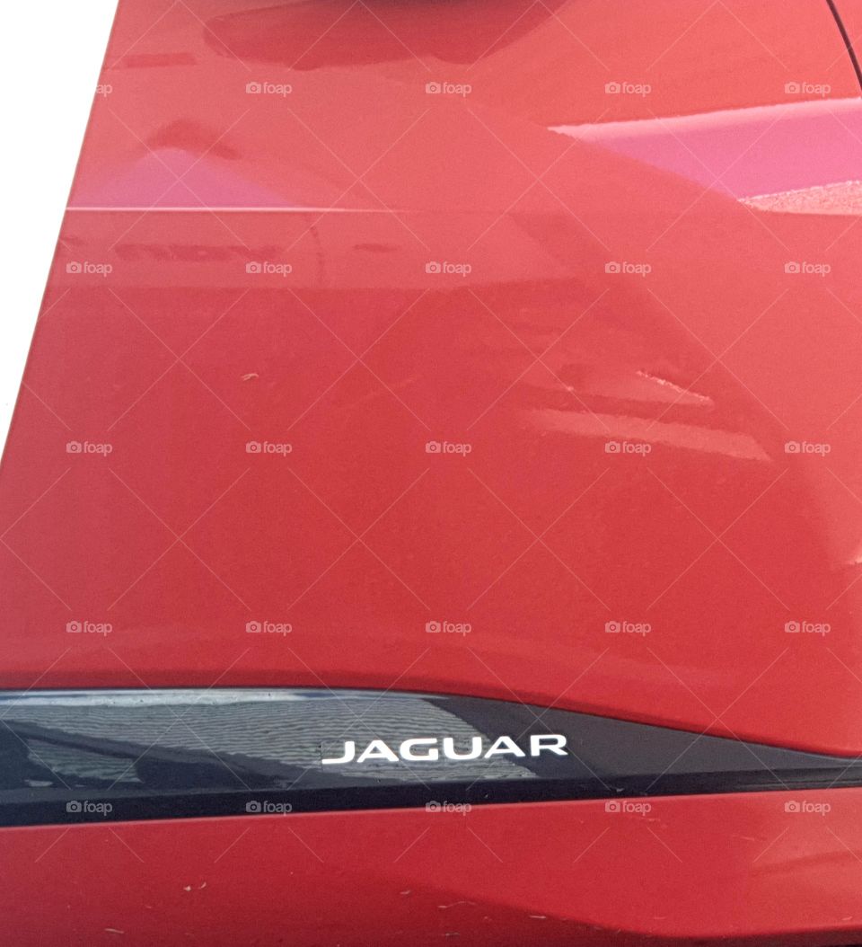 Make of a car jaguar in red how bold jaguar