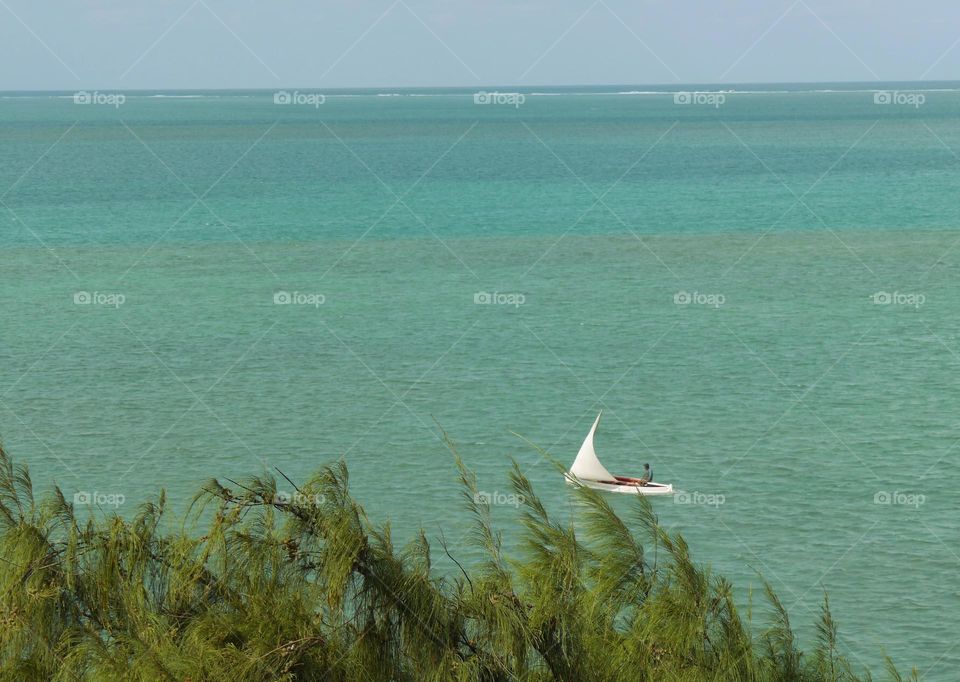 Sailing boat on the see