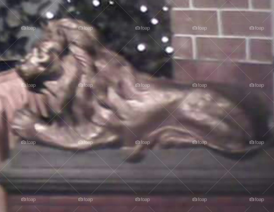 Golden Lion. Taken at a wedding expo that I attended.