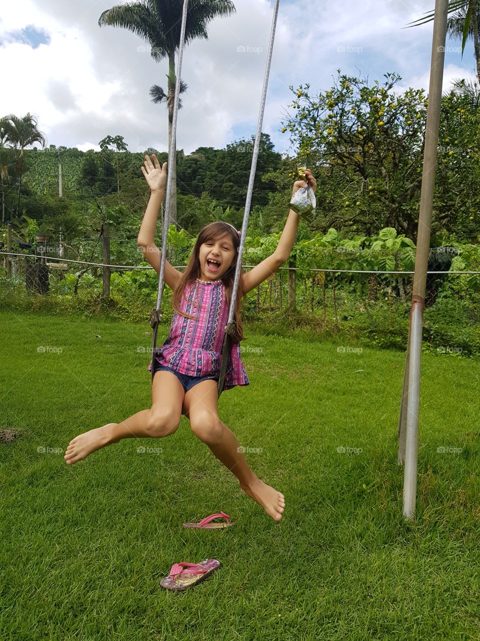 Um dia no campo
A day in the country