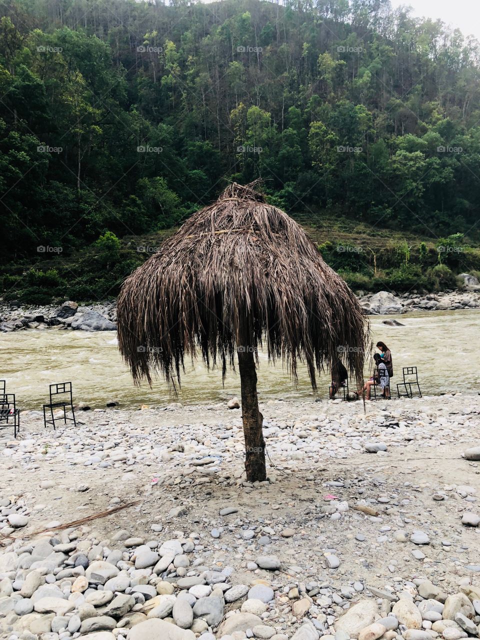 Palm shaped structure near flowing river.