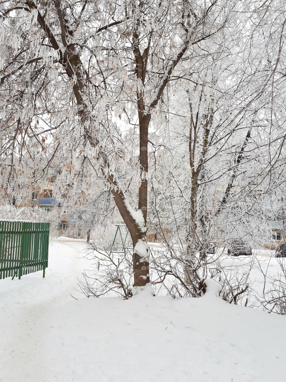 Winter landscape courtyard of the house