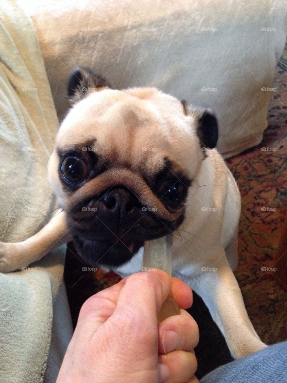 Yum!  Just hold that bone steady for me.
