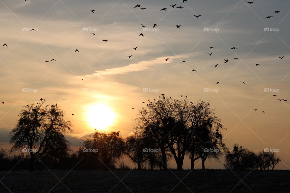 Spaziergänge früh am Morgen auf der Schwäbischen Alb