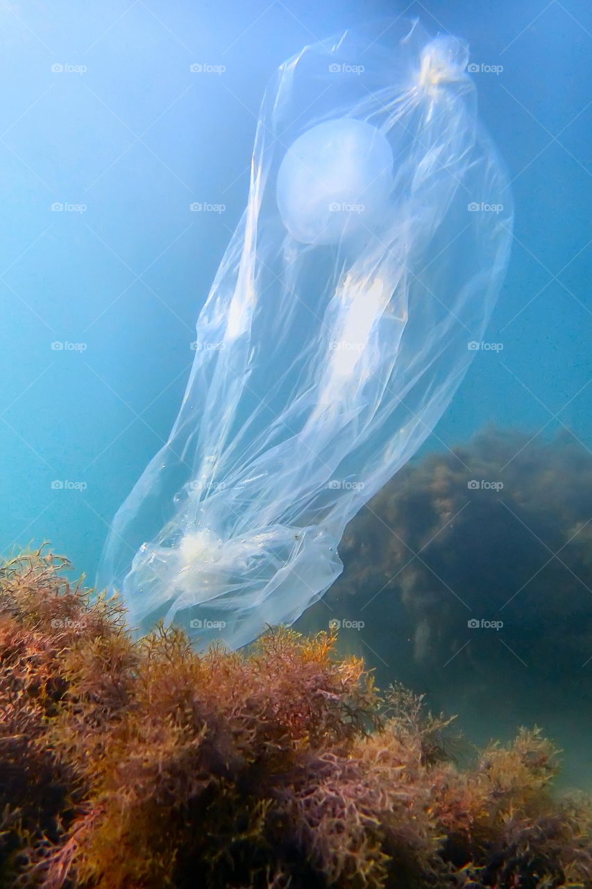 underwater plastic bag UFO mystical bubbles ring and jellyfish