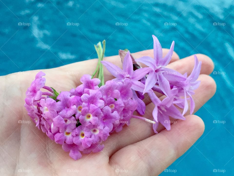 Flowers on the hand 