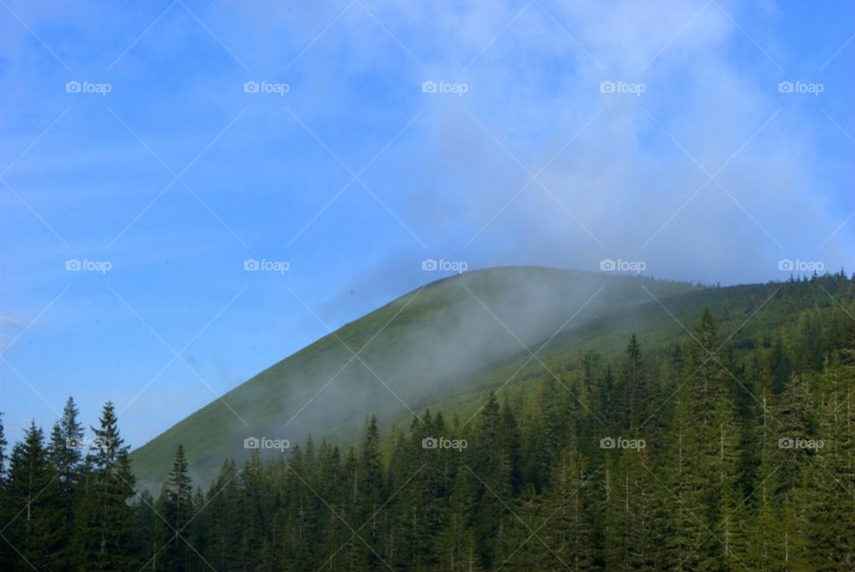 Summer Carpathian Mountains. 