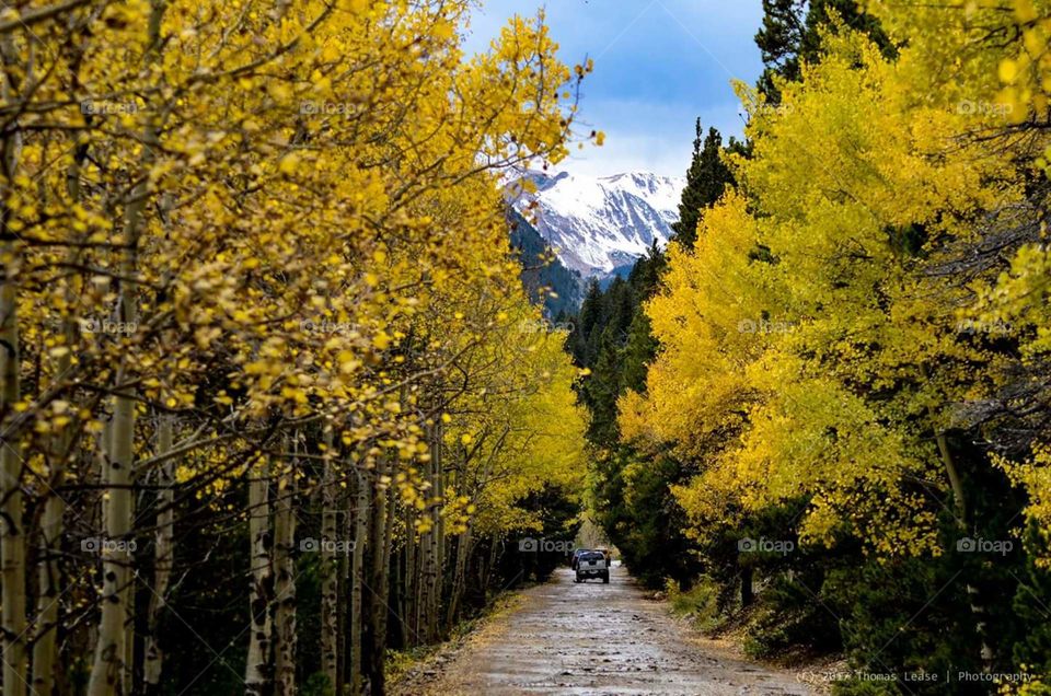 4 wheeling through the fall colors in Colorado