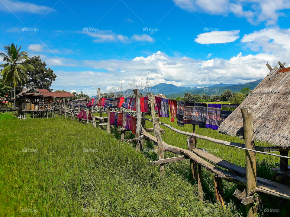 Boardwalk on the rice paddies of the coffee shop is a place where tourist PUA district, Nan province
