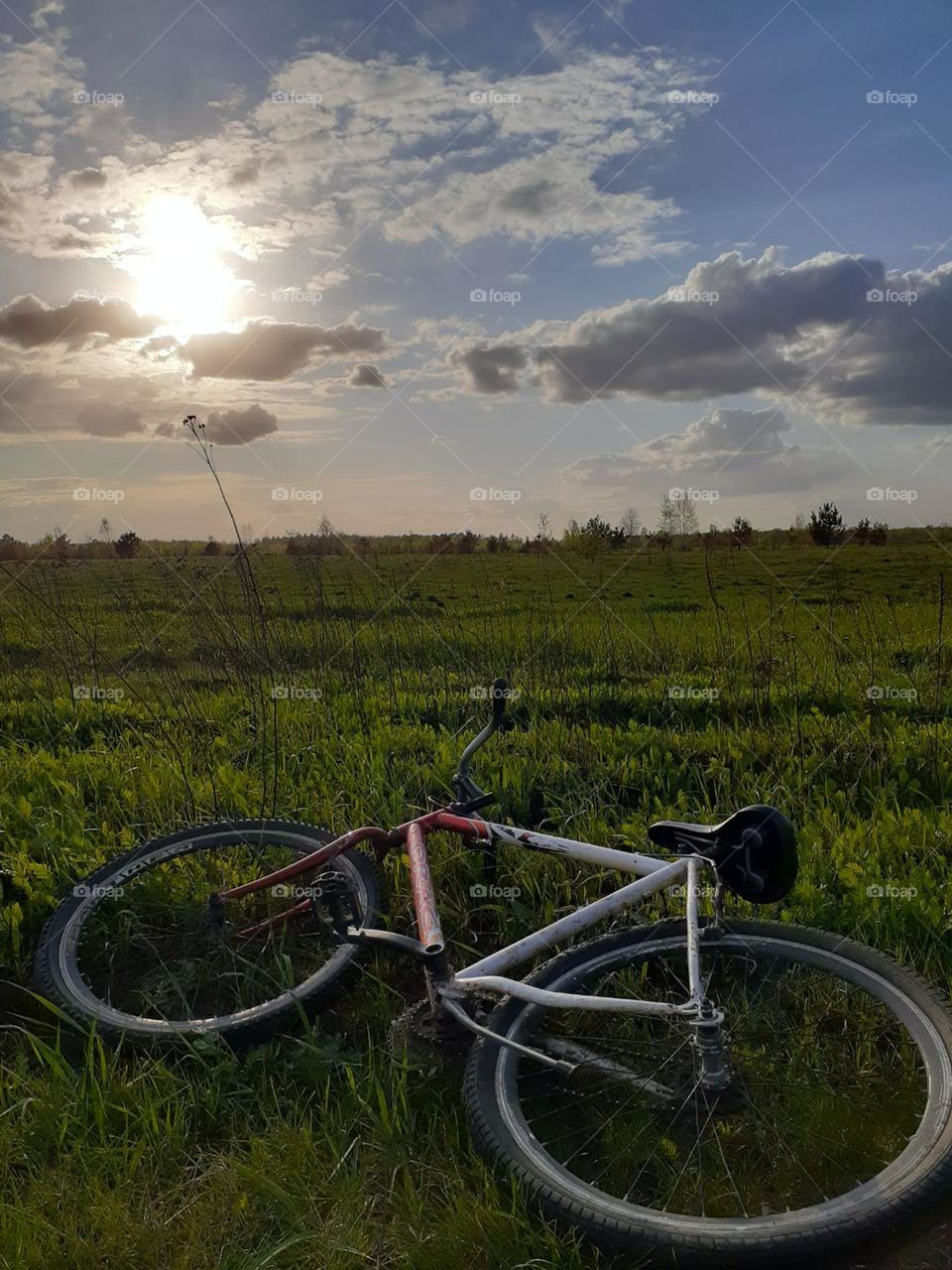 A bicycle ride through the fields in summer weather