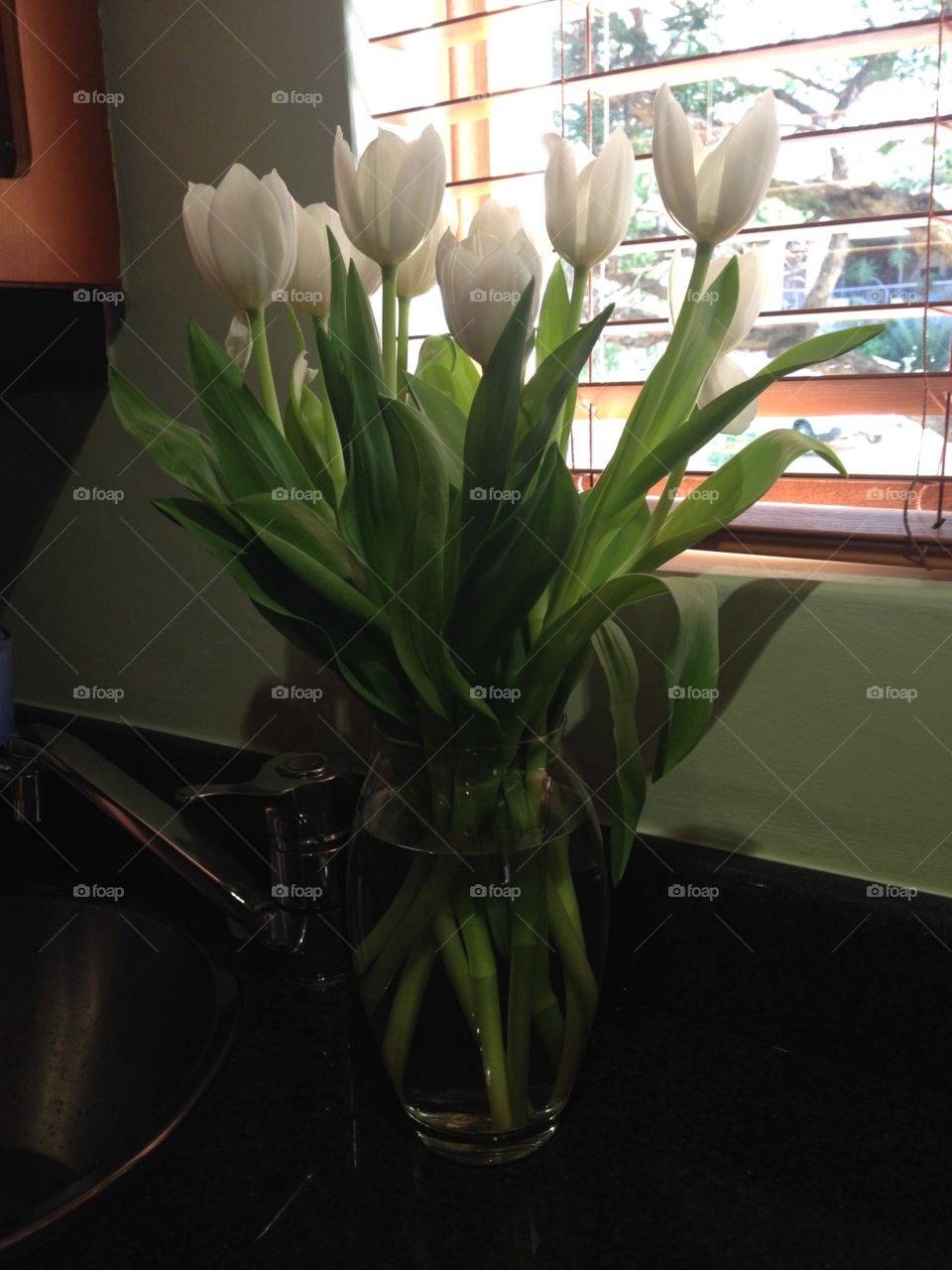 White tulips