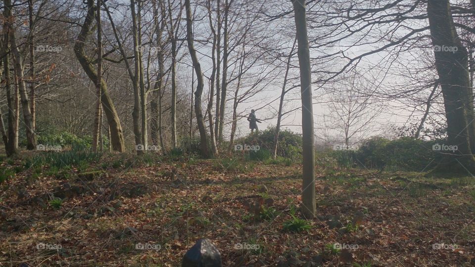 Alexander Park. behind the park 