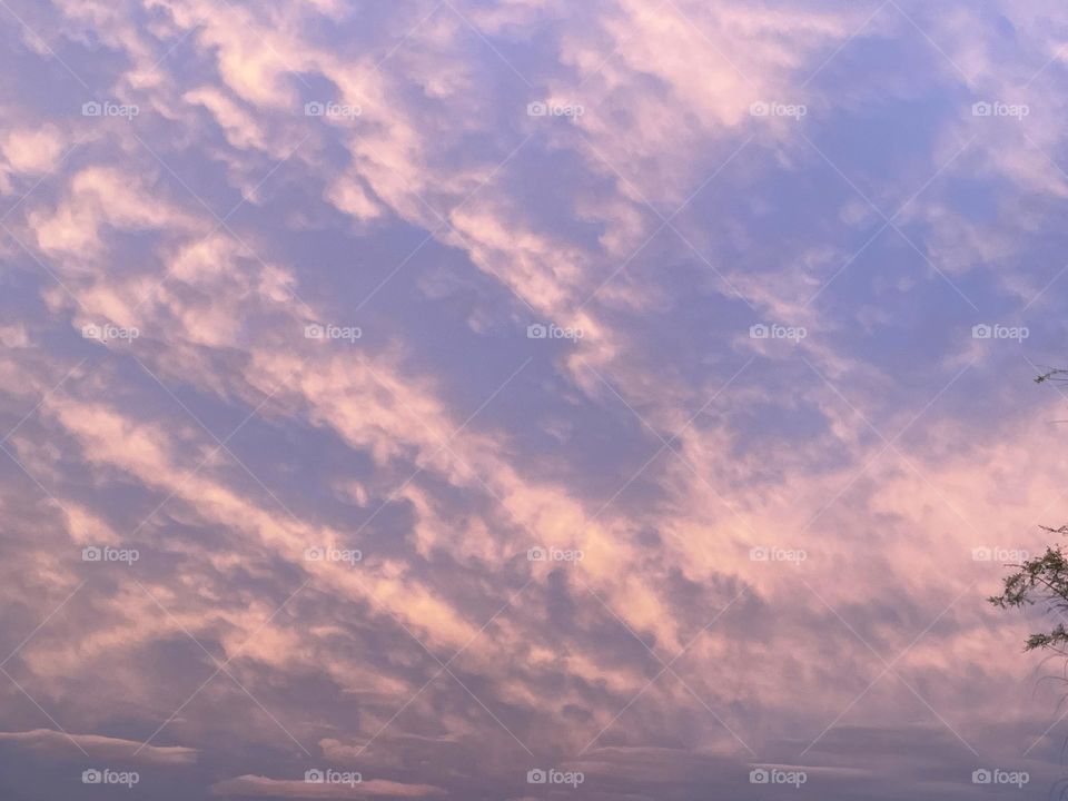 Light pink clouds streaking across the dark blue sky.