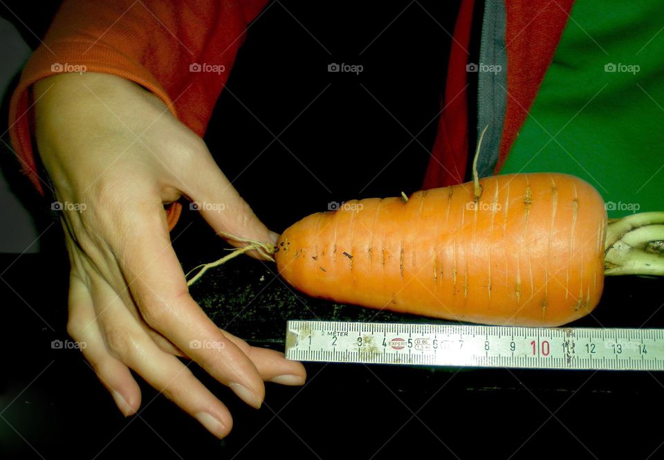 Carrot size, gardening