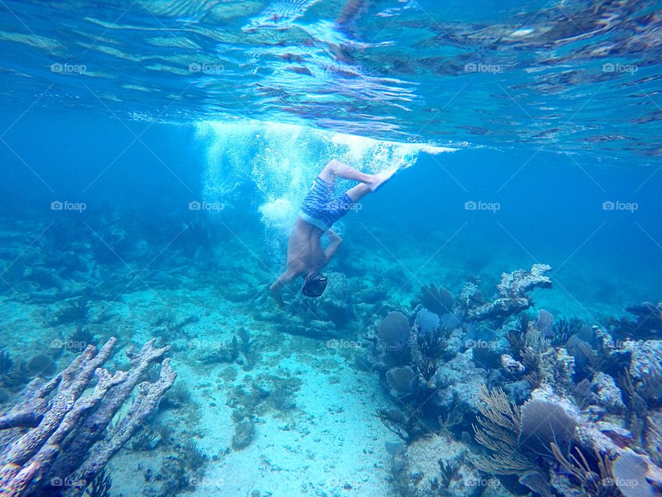 into the blue caribbean reef sea