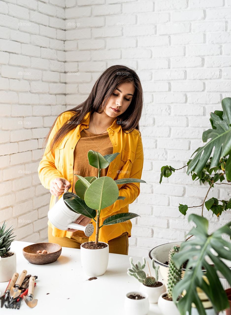 woman planting plants