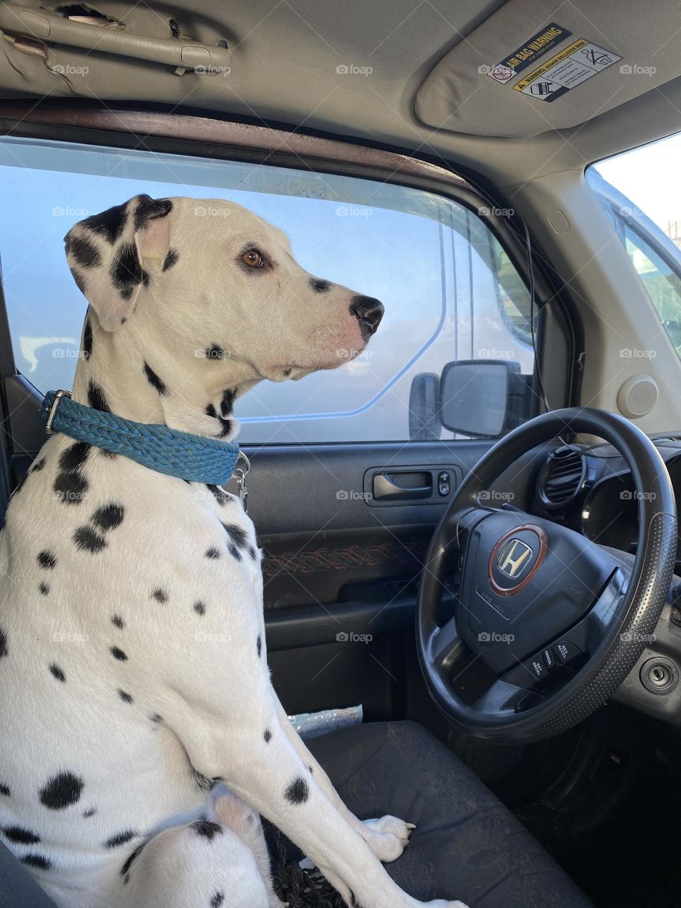 travel in car with gog