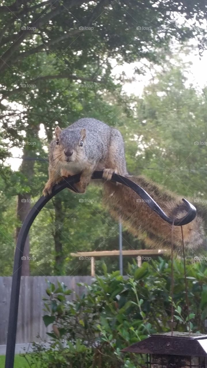 Catch me if you can .